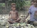 BEST PAPUA TOURS BEST PAPUA TOURS