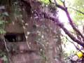 pillbox vid 7 Type 24 thick-walled pillbox