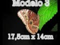 Vídeos TAGS TQualizer Vídeos TAGS TQualizer