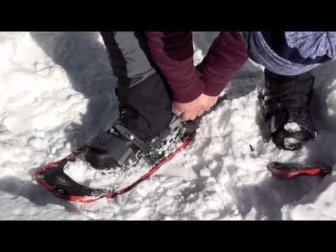 how to adjust msr lightning axis