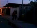 videos ridiculos