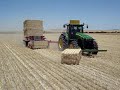 Harvest Glenvar 2007 - Wheat Australia big lexion