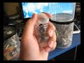 Reclycle Film & CD canisters