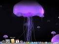 My Mac OS X Leopard Dock