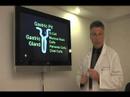 Heartburn and Acid Reflux