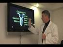Heartburn and Acid Reflux