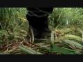 videos de Lost - Keamy and the grenade