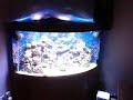 Robs Tank