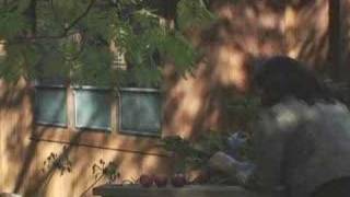 Mahnaz Badihian(Oba) American/Iranian Poet