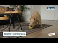 Seresto Hond > 8kg - Teken/vlooienband