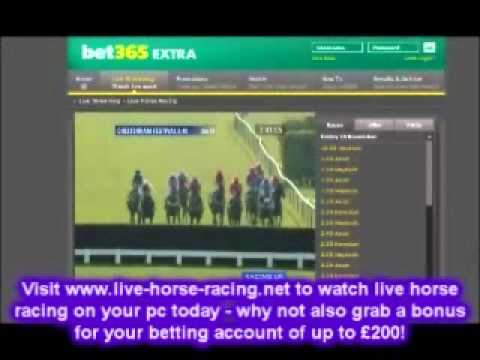 horse racing cheltenham