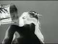 Nine Inch Nails - Head Like A Hole