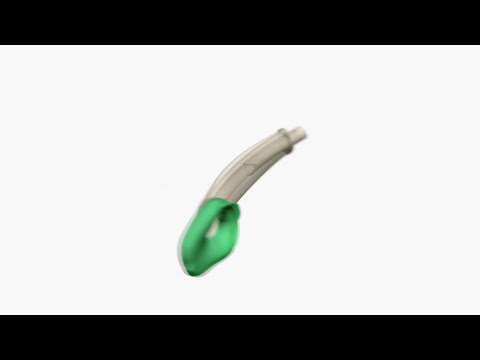 Immagine anteprima YouTube