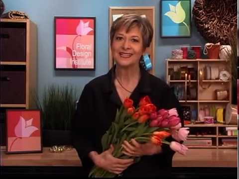 how to replant easter tulips