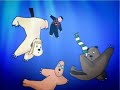 clip 