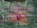 19 twink crits 19 twink crits