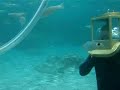 undersea walking/protaras/cyprus undersea walking/protaras/cyprus