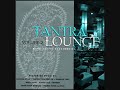 Karsh Kale-Analog Mood Swing