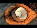 The Chemisty of Soap Making