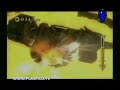 V�deo An�lisis Sonic The Hedgehog (wii)