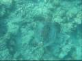 Les instants magiques aux Maldives