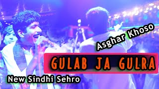Gulab ja Gulra  New Sindhi Sehro  Song 2021  Asgha