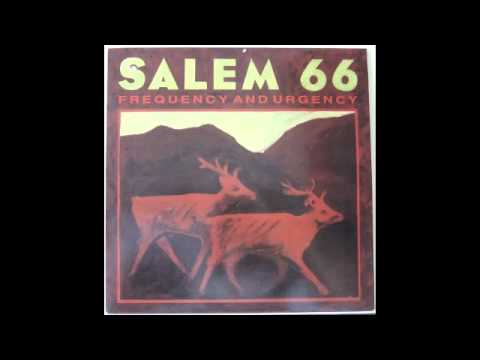 how to rind of lemon