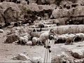 تلج تلج