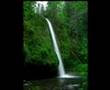 SwargathilNinnum.... [Malayalam Christian Song]