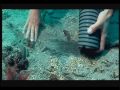 sets out basic principles for the protection of underwater cultural heritage; provides a detailed State cooperation system; and provides widely recognized practical Rules for the treatment and research of underwater cultural heritage. For more videos on this as well as other topics, also visit: www.unesco.org