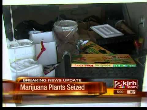 grow house busted