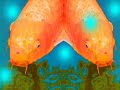 inrainbows (short unfinished clip)