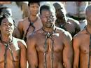 tiye phoenix's 