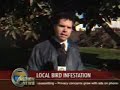 Reporter eats bird poo s***