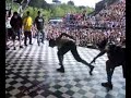movida zero vs vandals