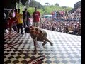 movida zero vs vandals
