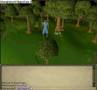 videos de Moses, learn 2 spell!!!!!!