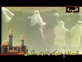 Radood Mohammed AlZagheer - \