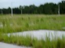 Abandoned Florida Part 4