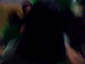 videos de MMB8 kina Ahbby -part 1