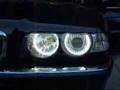BMW 740iL e38 Wiring up CCFL Angel Eyes to 4pos Euro switch