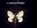 A Life Divided - It 