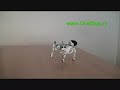 Jucarii inteligente, roboti - ROBOPET Jucarii inteligente, roboti - ROBOPET