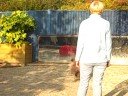 Fun giving us a novice obedience demo, retrieve Fun giving us a novice obedience demo, retrieve