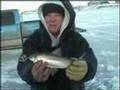 Whitefish fishing fun
