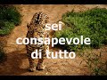 Adesso non domani
