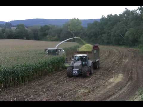 Mais Claas Jaguar 980 Fendt 936