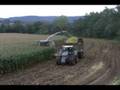 Mais Claas Jaguar 980 Fendt 936