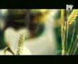Catatonia - Dead from the waist down
