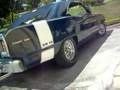 dodge dart itauna (bettoadesivos)